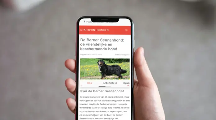 Website Startpunt Honden - project Duo Webdesign